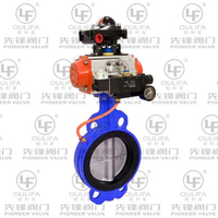 Inflatable Butterfly Valve CD671X